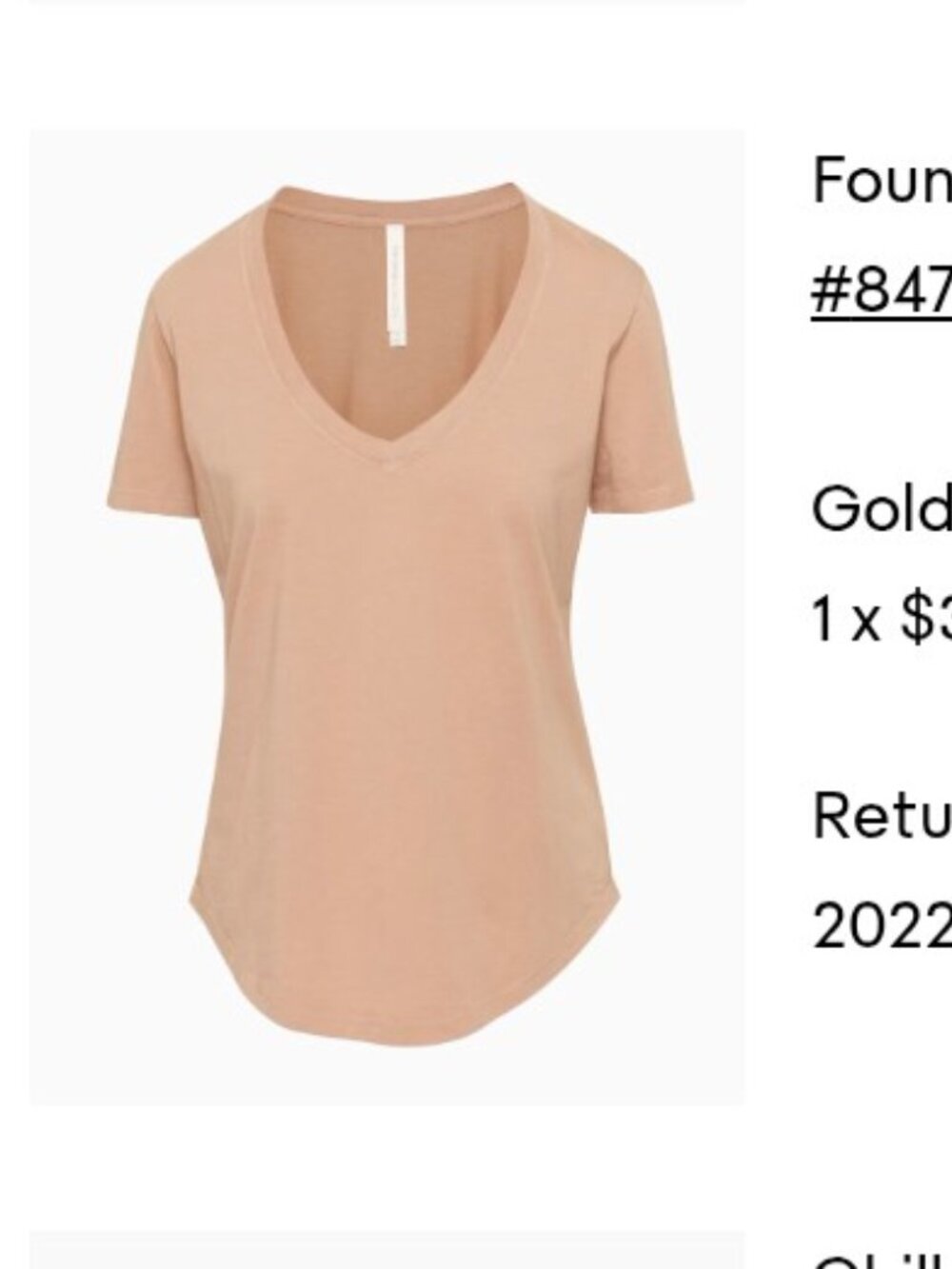 Aritzia the group foundation t shirt